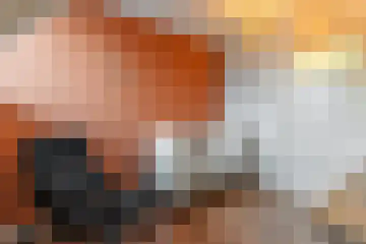 Waal 10 Waal thumbnail 23