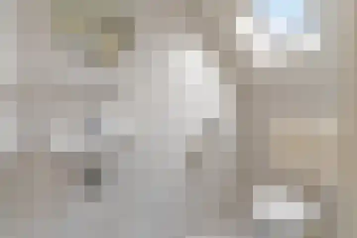 Waal 10 Waal thumbnail 24