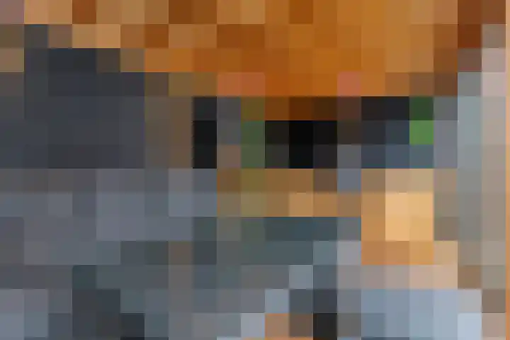 Waal 10 Waal thumbnail 29