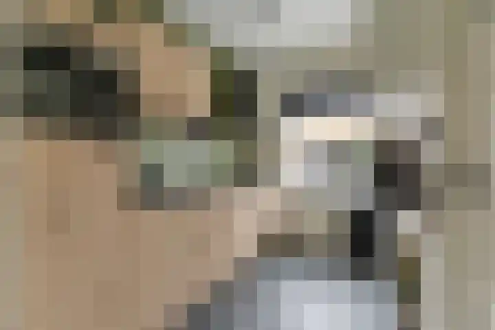 Waal 10 Waal foto 3