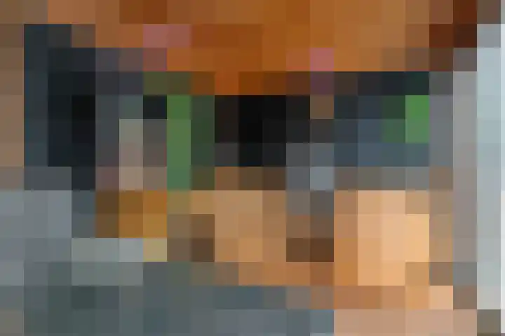 Waal 10 Waal thumbnail 32