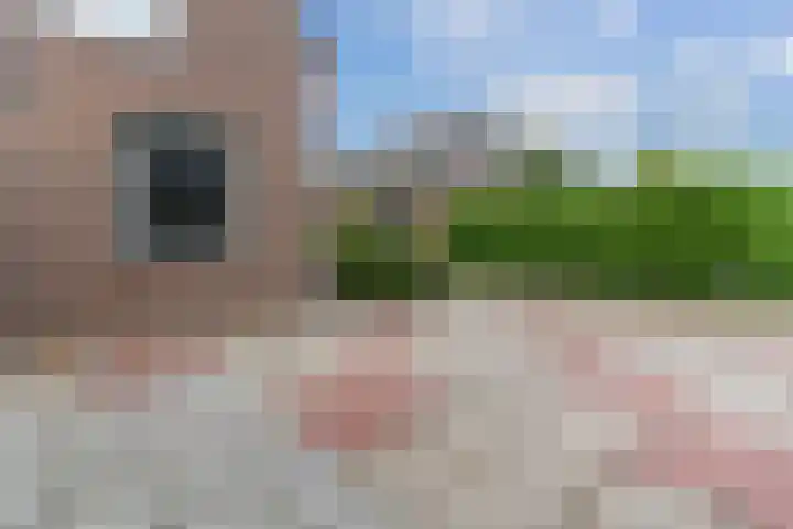 Waal 10 Waal thumbnail 33