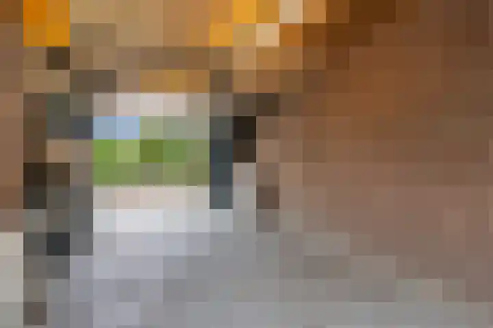 Waal 10 Waal thumbnail 34