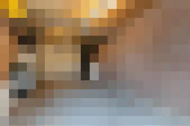 Waal 10 Waal thumbnail 35