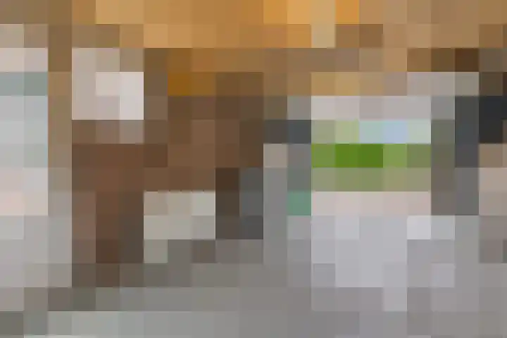 Waal 10 Waal thumbnail 36