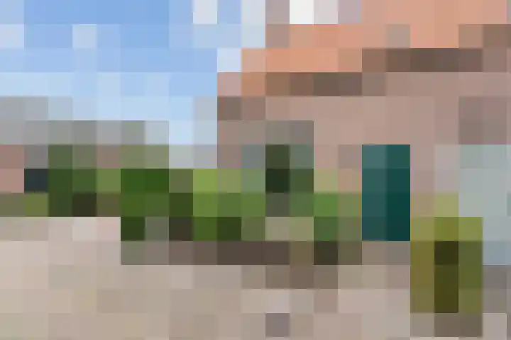 Waal 10 Waal thumbnail 5