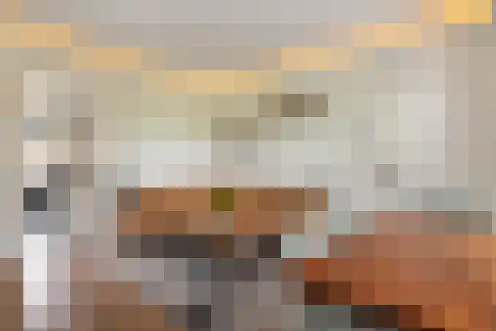 Waal 10 Waal thumbnail 8