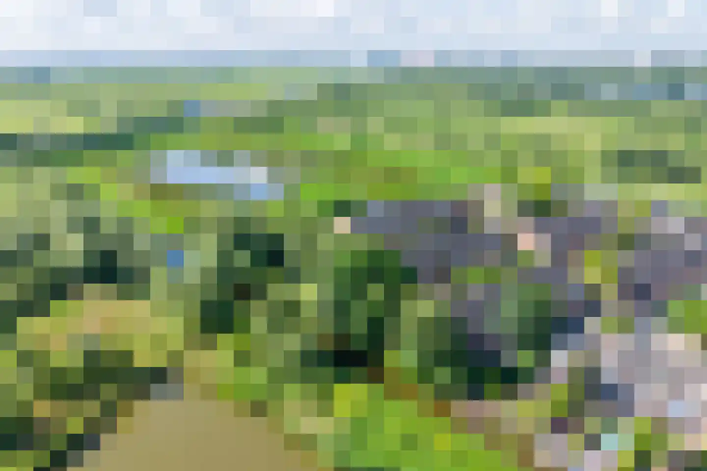 Waal 104 Zaandam thumbnail 10