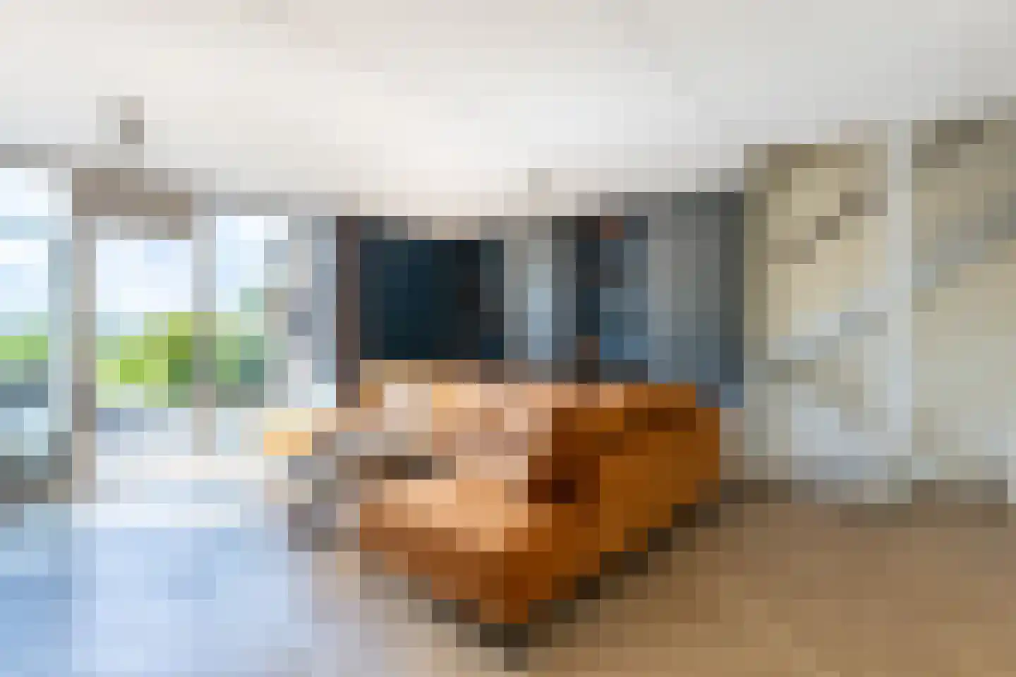 Waal 104 Zaandam thumbnail 18