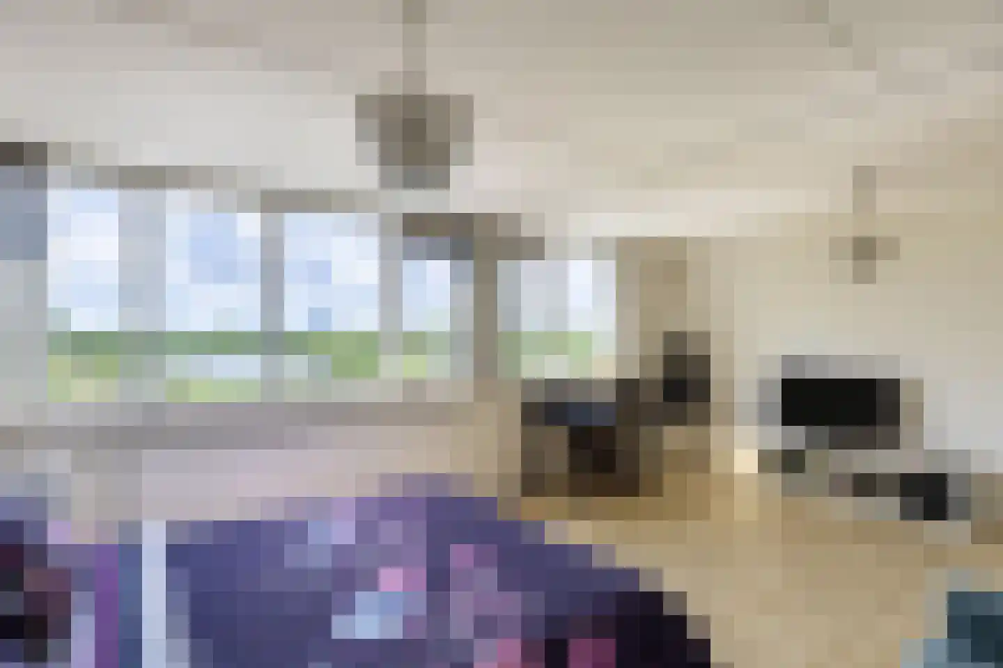 Waal 104 Zaandam thumbnail 29