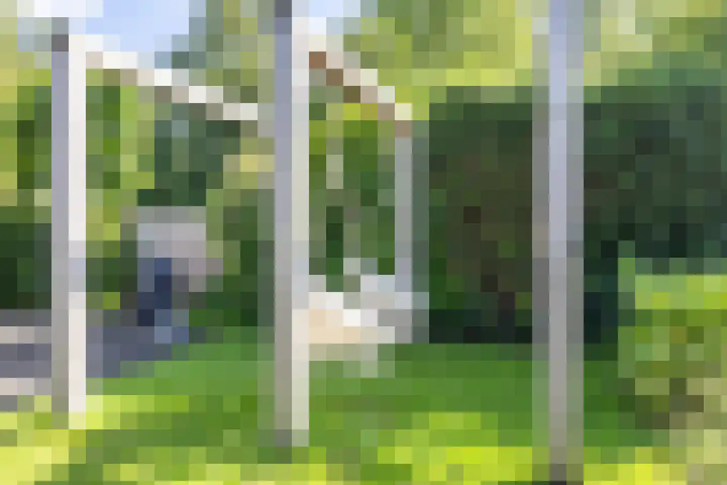 Waal 104 Zaandam thumbnail 47