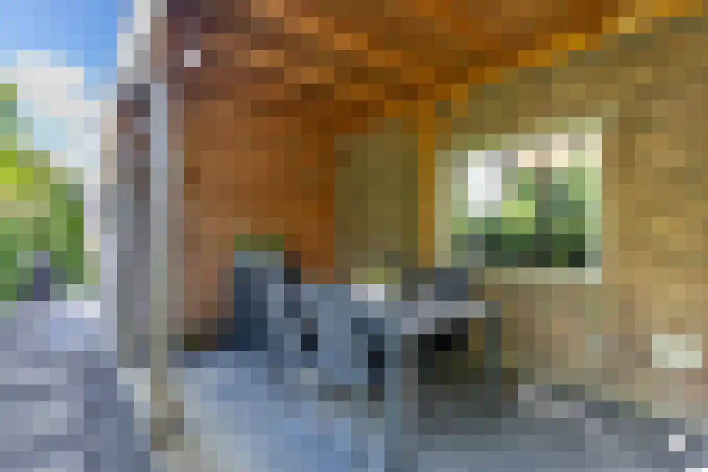 Waal 104 Zaandam thumbnail 52