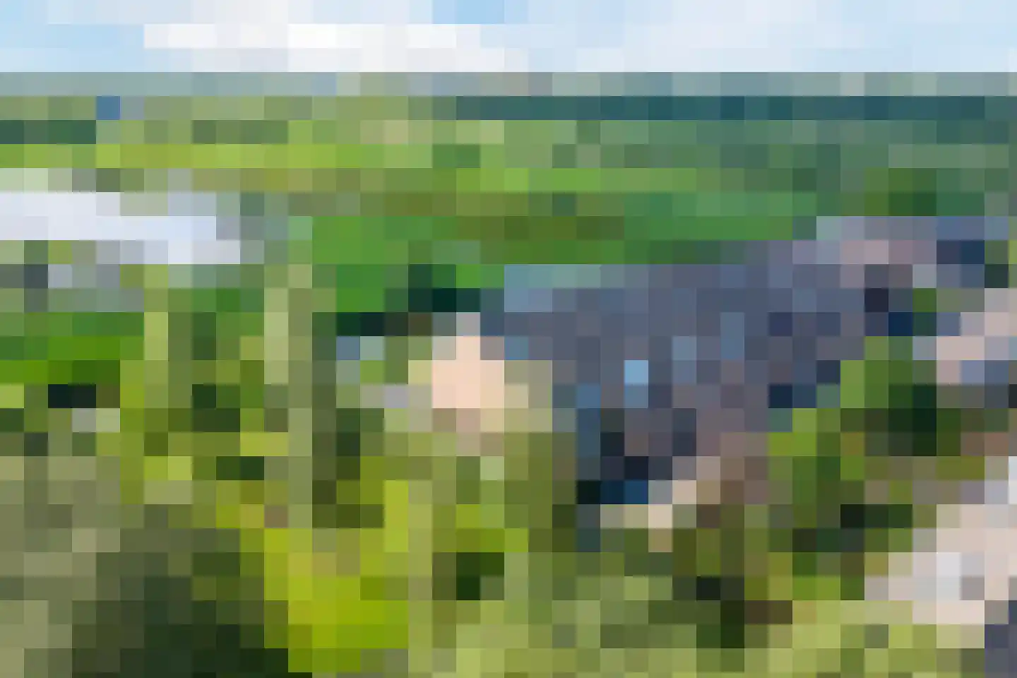 Waal 104 Zaandam thumbnail 8