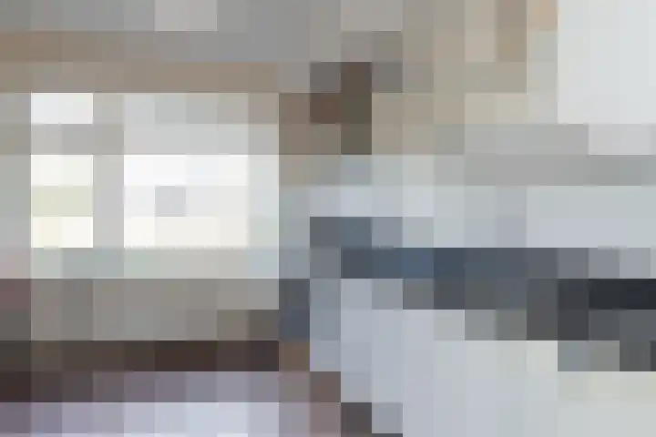 Waal 12 a Waal thumbnail 12