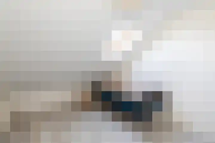 Waal 12 a Waal thumbnail 19