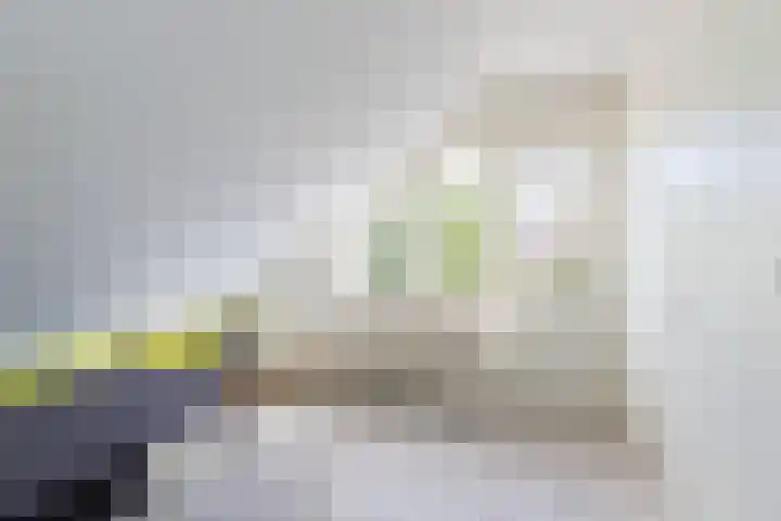 Waal 12 a Waal thumbnail 20
