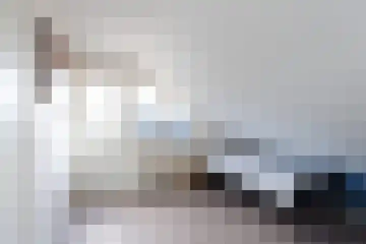 Waal 12 a Waal thumbnail 21