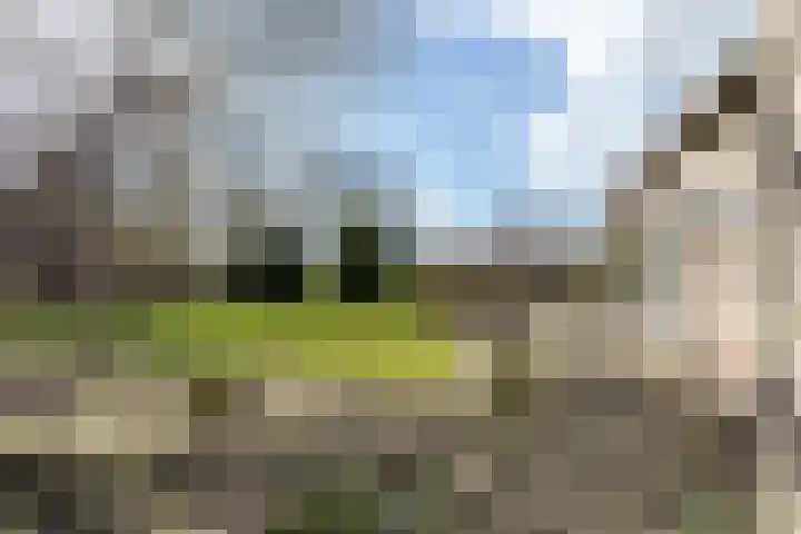 Waal 12 a Waal thumbnail 22