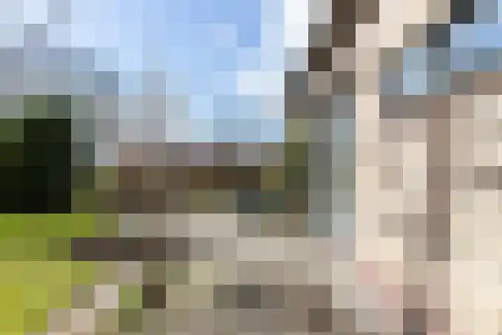 Waal 12 a Waal thumbnail 23