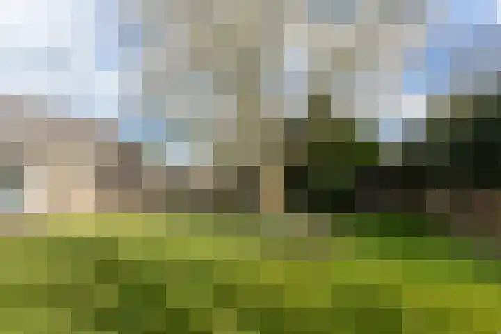 Waal 12 a Waal thumbnail 24