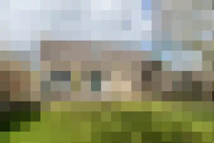 Waal 12 a Waal thumbnail 25