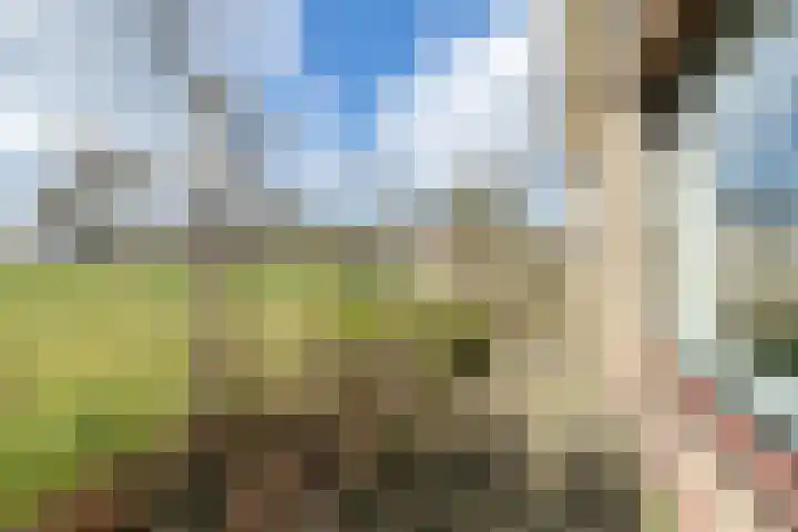 Waal 12 a Waal thumbnail 26