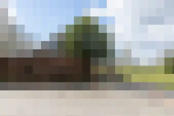 Waal 12 a Waal thumbnail 27