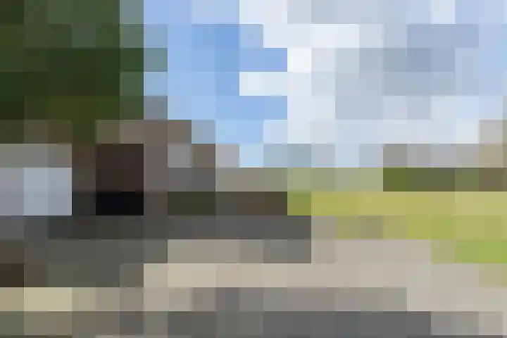 Waal 12 a Waal thumbnail 28
