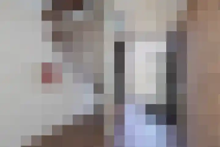 Waal 12 a Waal thumbnail 7