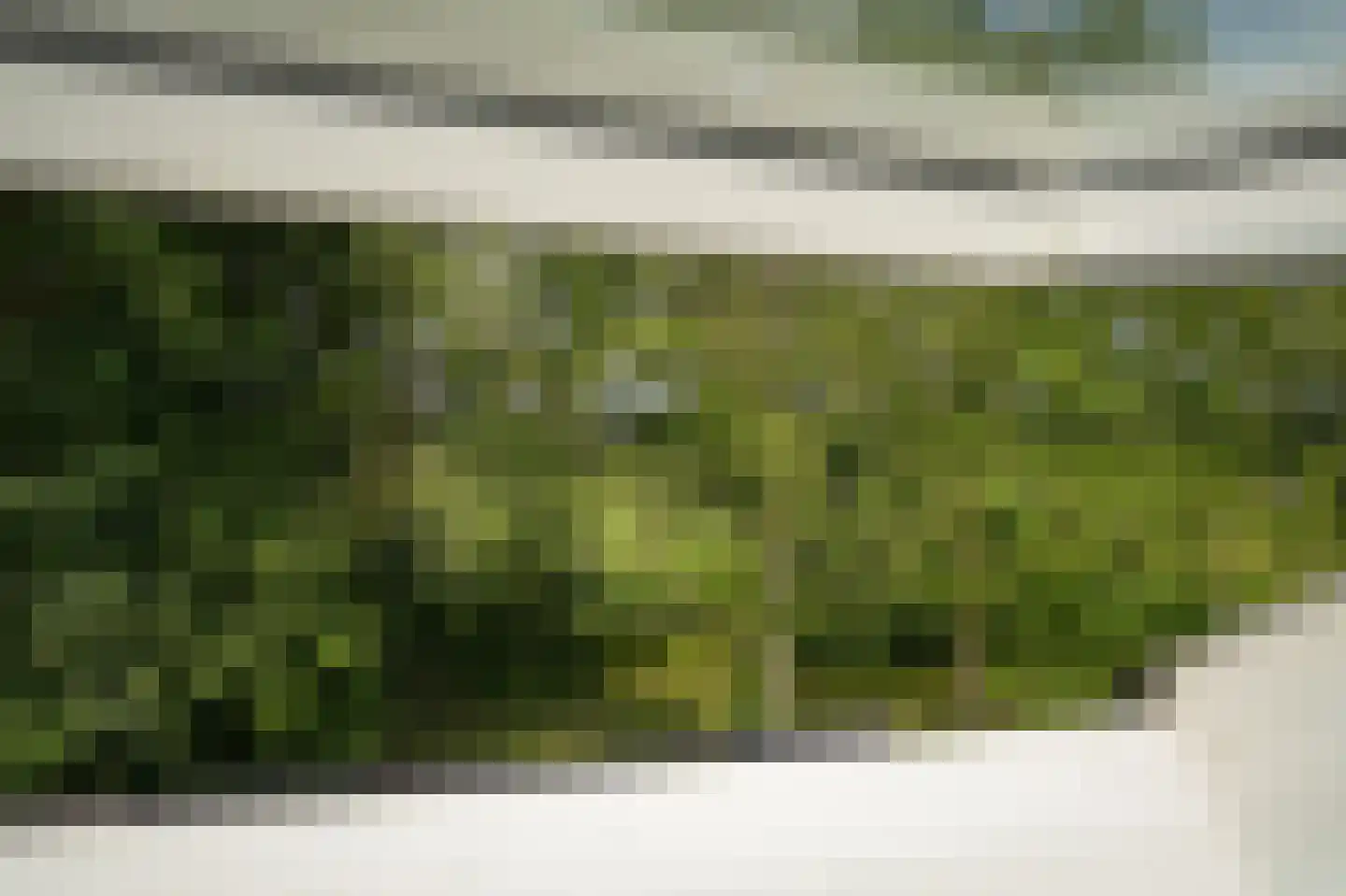 Waal 33 Waal thumbnail 22