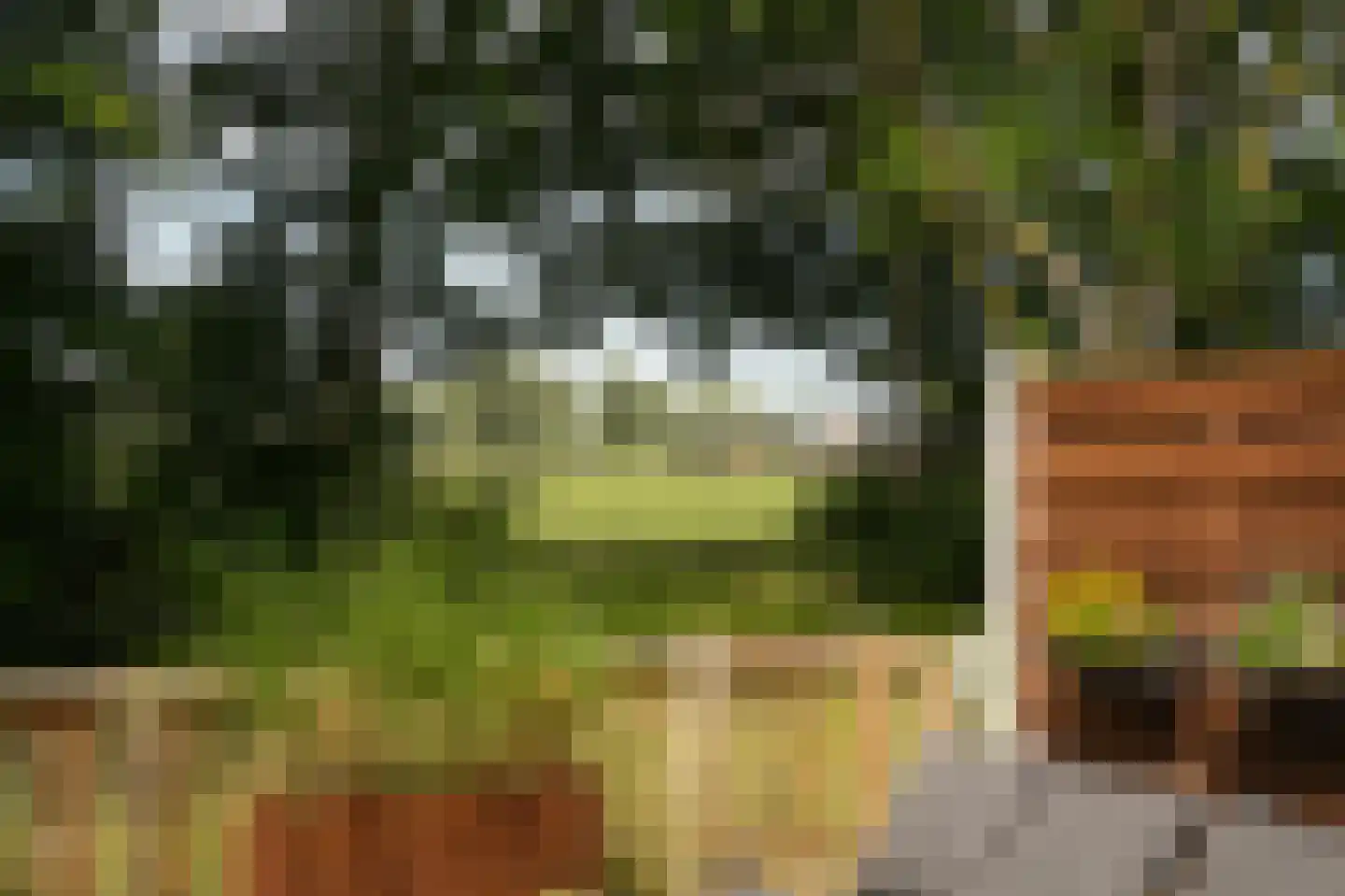 Waal 33 Waal thumbnail 29