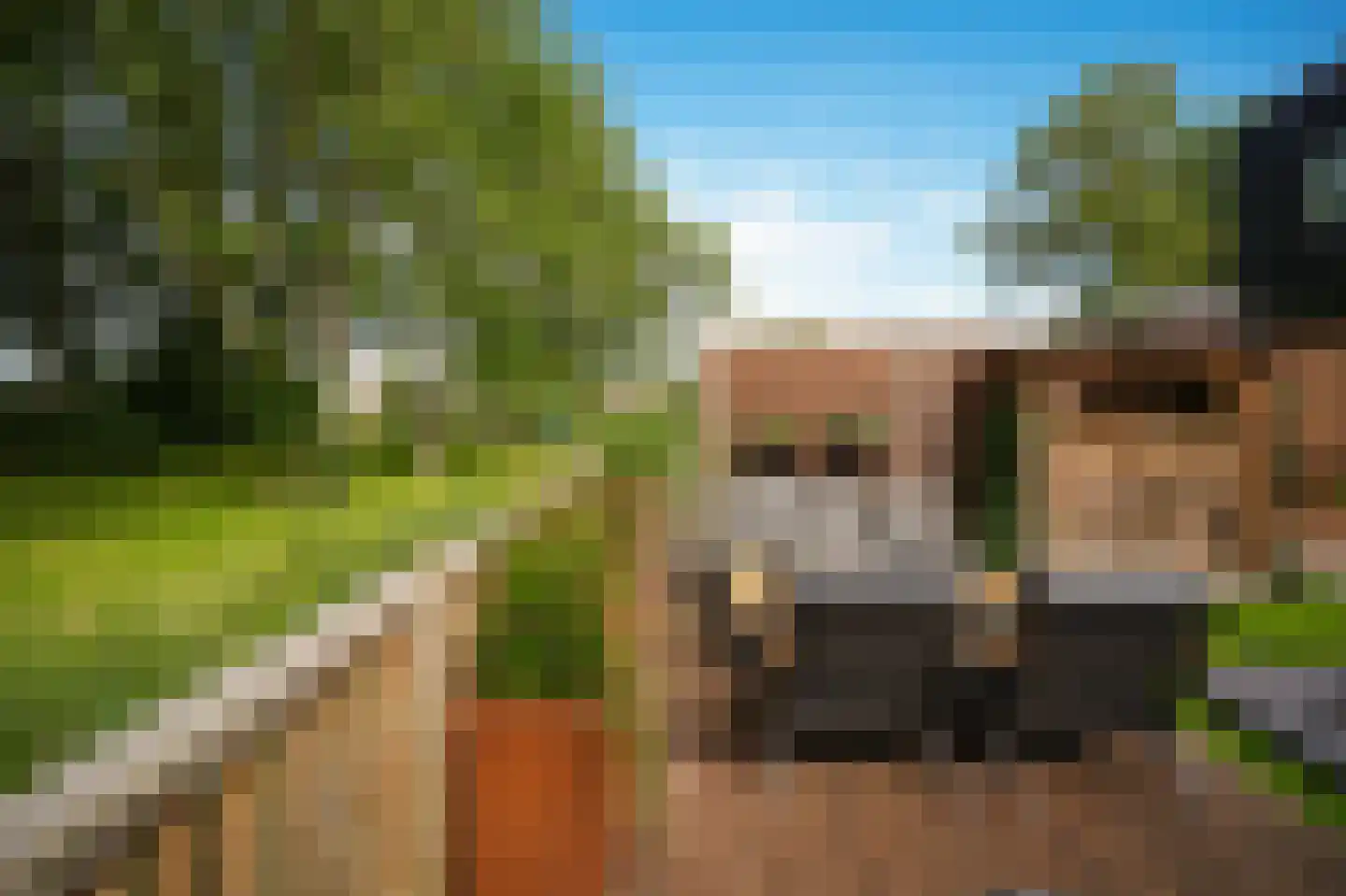 Waal 33 Waal thumbnail 31