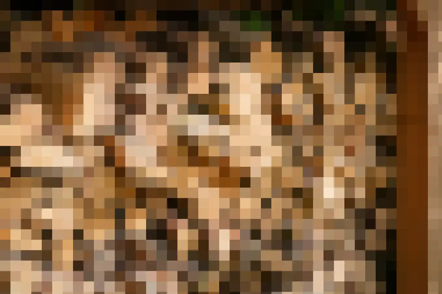 Waal 33 Waal thumbnail 32