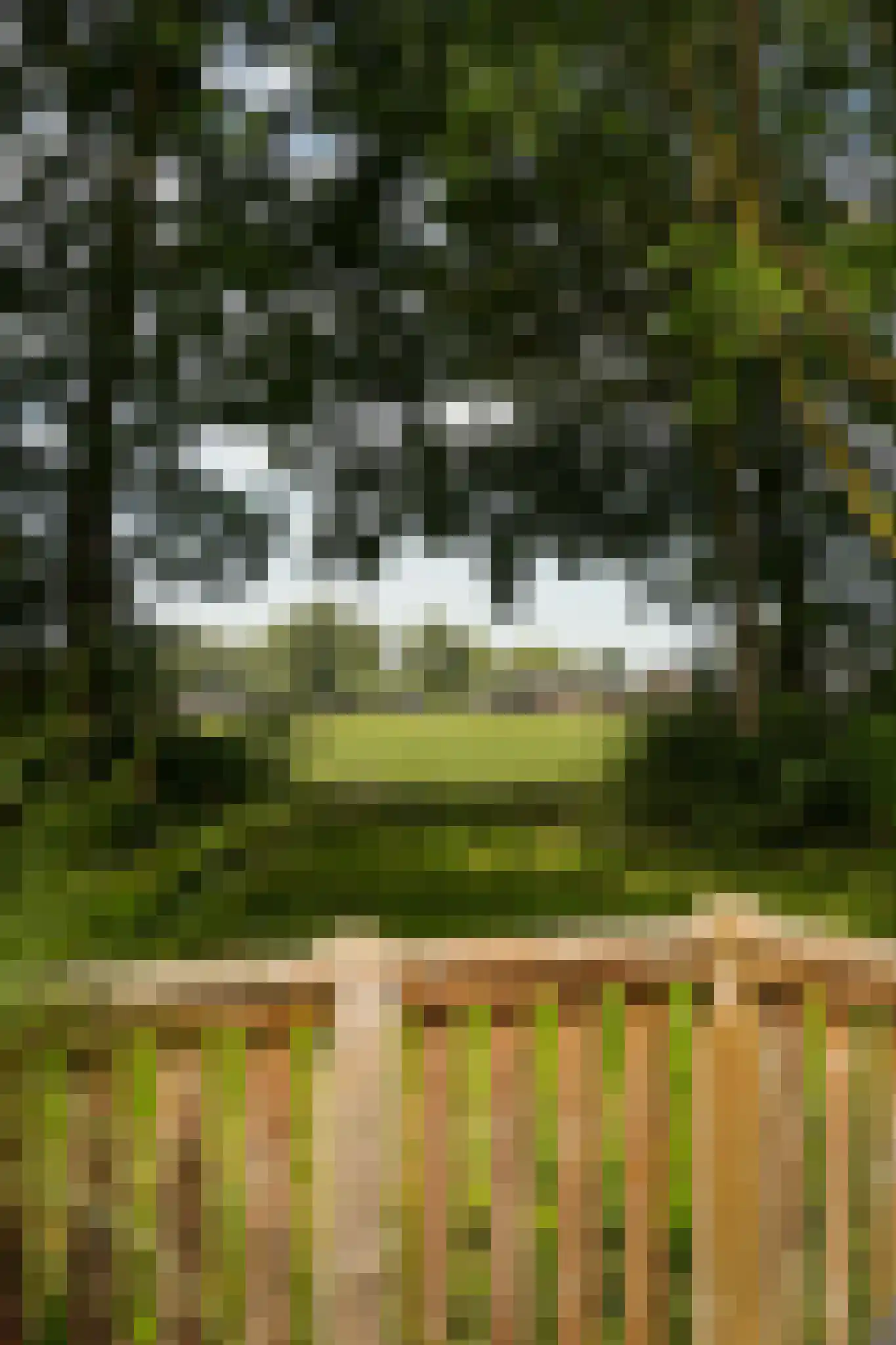 Waal 33 Waal thumbnail 33