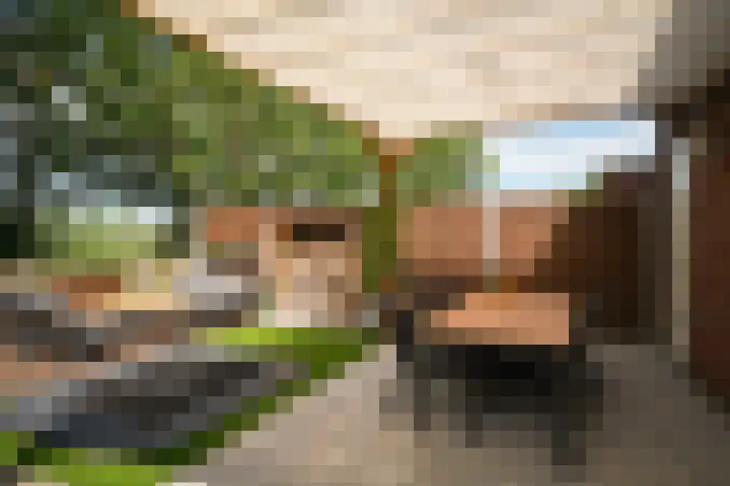 Waal 33 Waal thumbnail 36