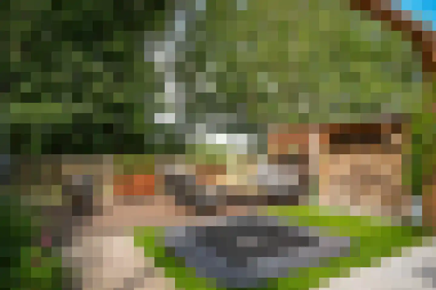 Waal 33 Waal thumbnail 4