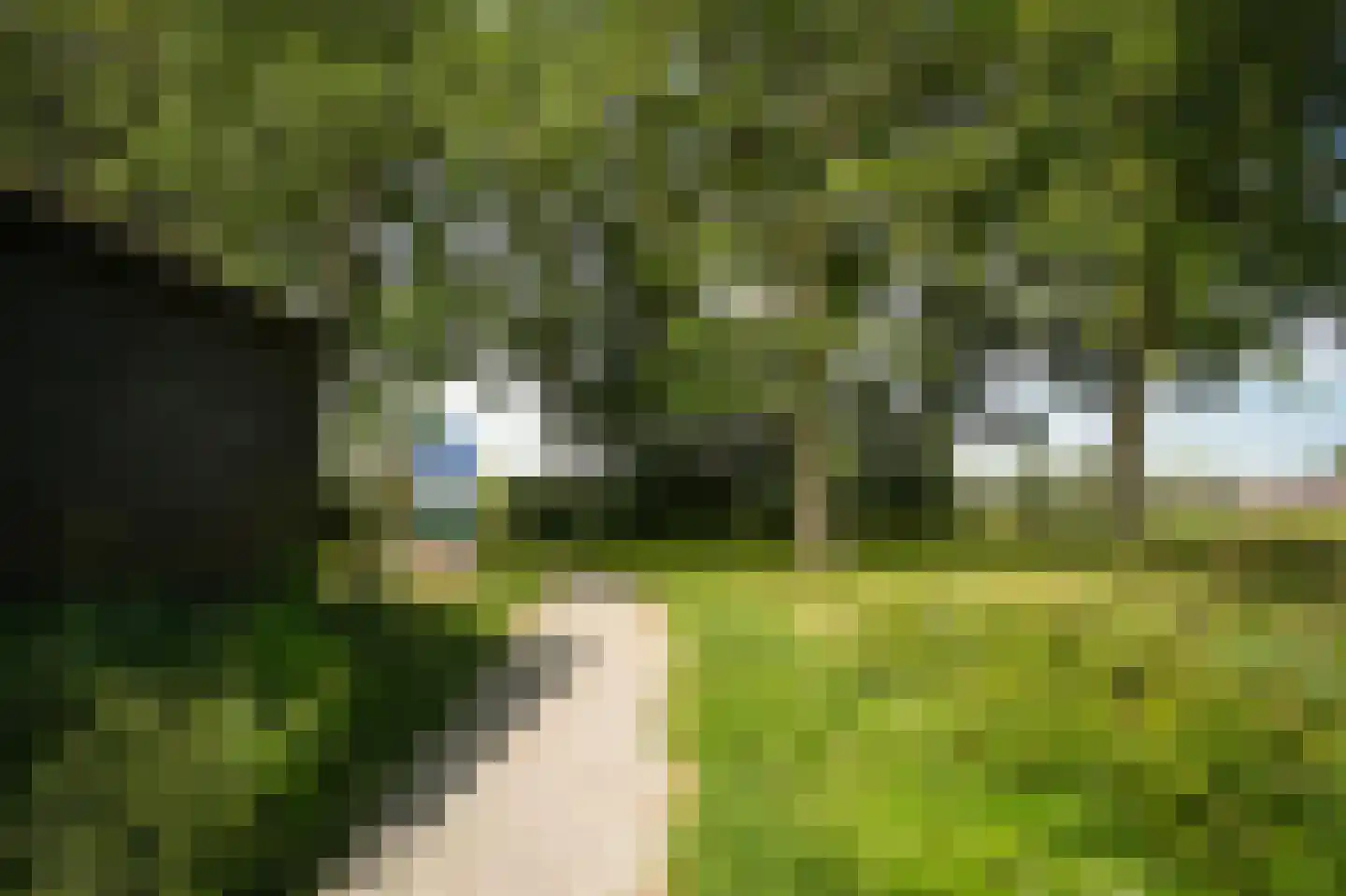 Waal 33 Waal thumbnail 40