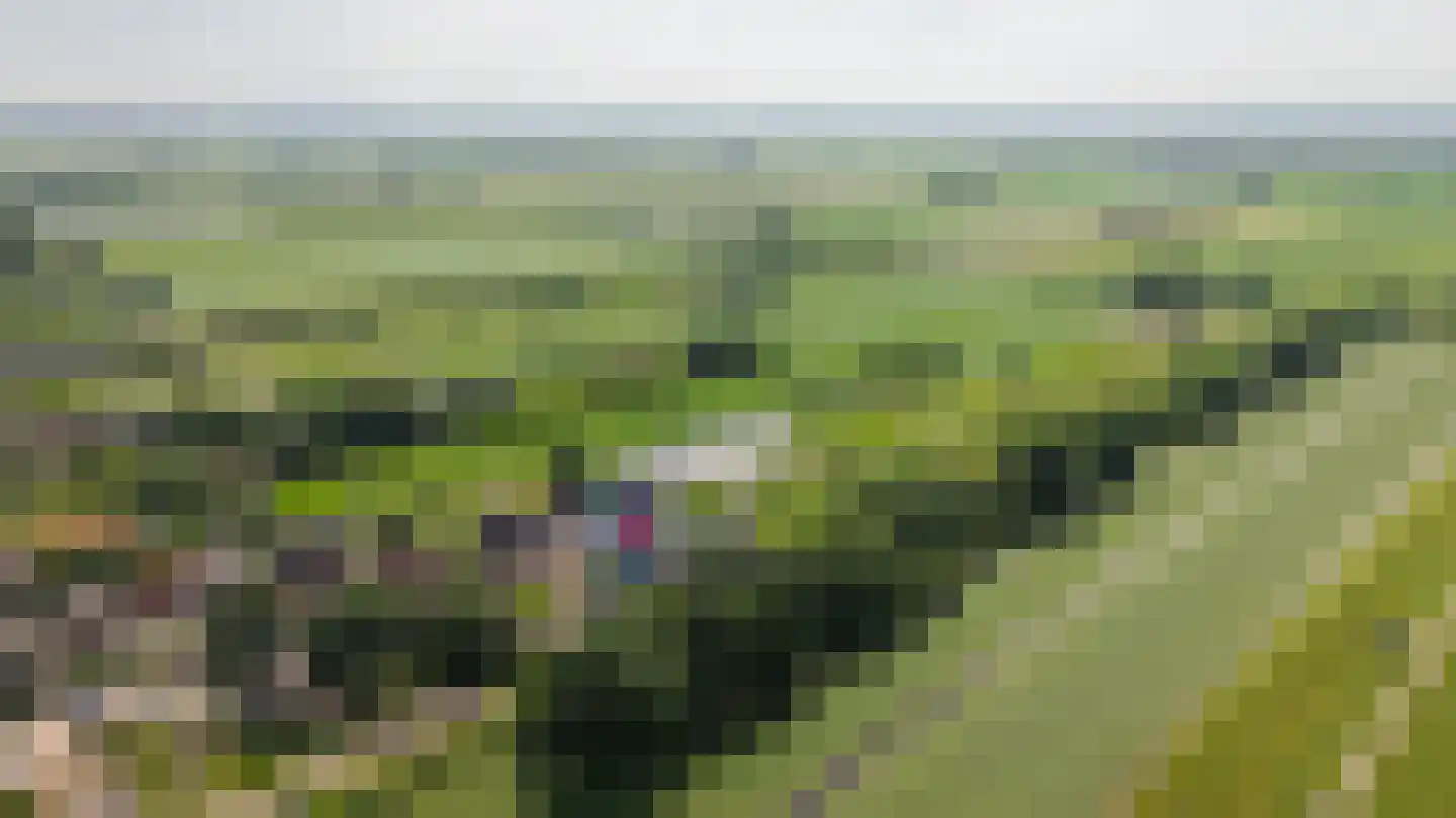 Waal 33 Waal thumbnail 46