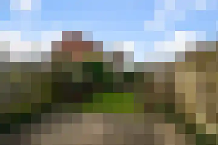 Waal 44 Zaandam thumbnail 12