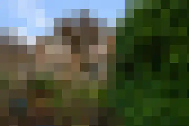 Waal 44 Zaandam thumbnail 13