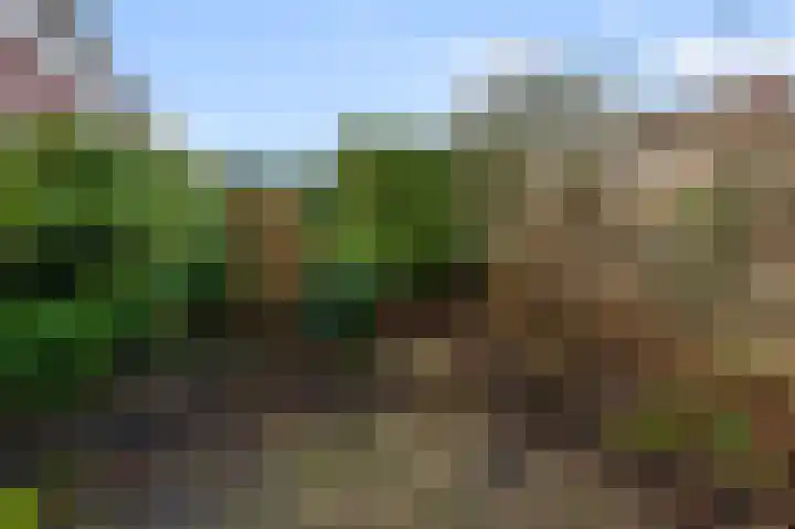 Waal 44 Zaandam thumbnail 14