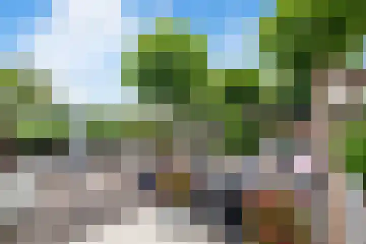 Waal 78 A Zaandam thumbnail 18