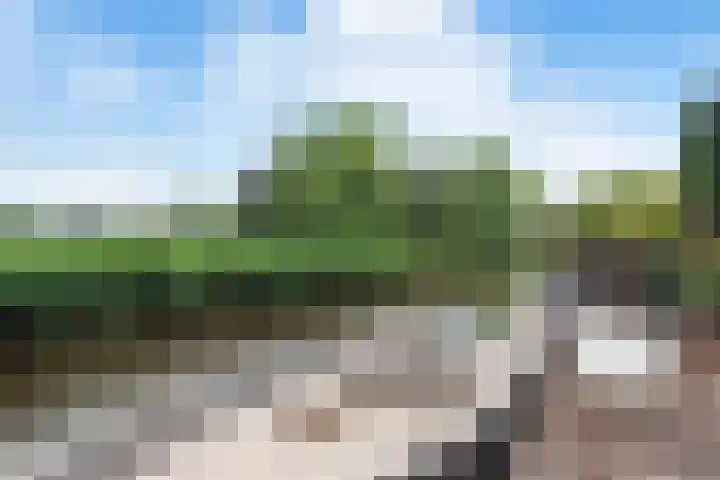 Waal 78 A Zaandam thumbnail 21
