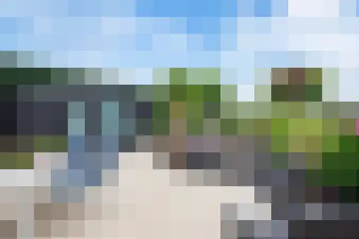 Waal 78 A Zaandam thumbnail 23