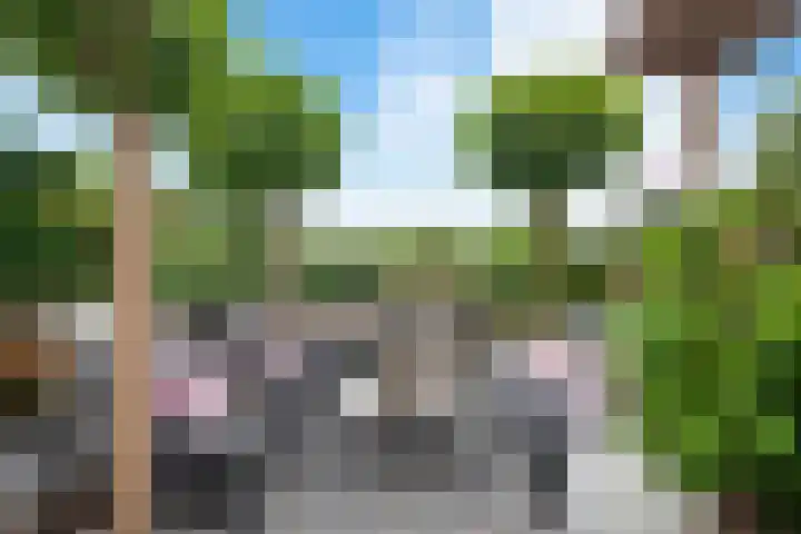 Waal 78 A Zaandam thumbnail 25