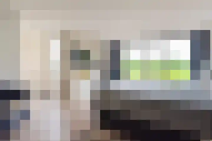 Waal 78 A Zaandam thumbnail 27