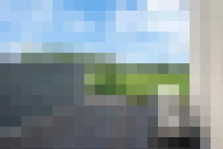 Waal 78 A Zaandam thumbnail 31