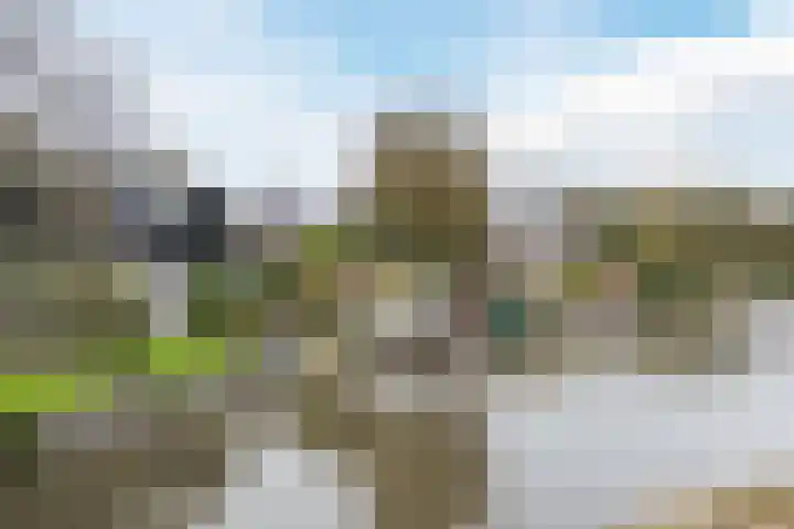 Waal 88 Zaandam thumbnail 47