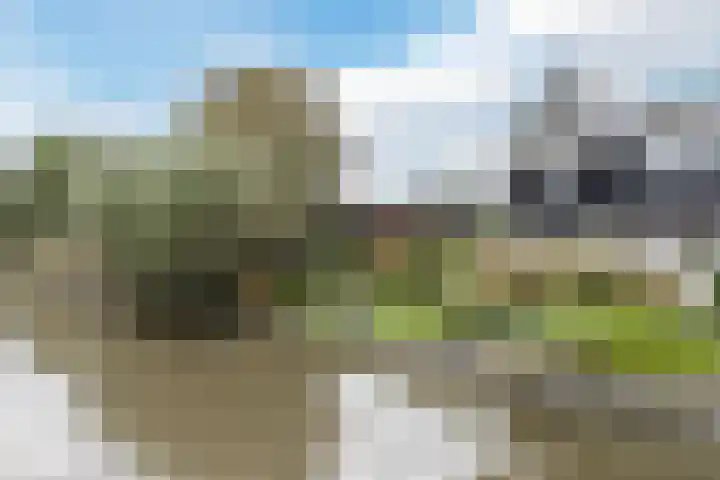 Waal 88 Zaandam thumbnail 49