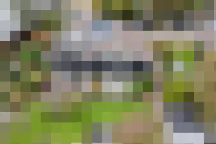 Waal 88 Zaandam thumbnail 50